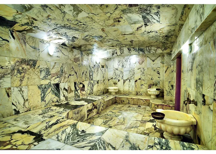 ホテル ビジネス パーク アンカラ